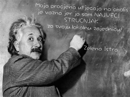 einstein-lokalni_strucnjak.jpg